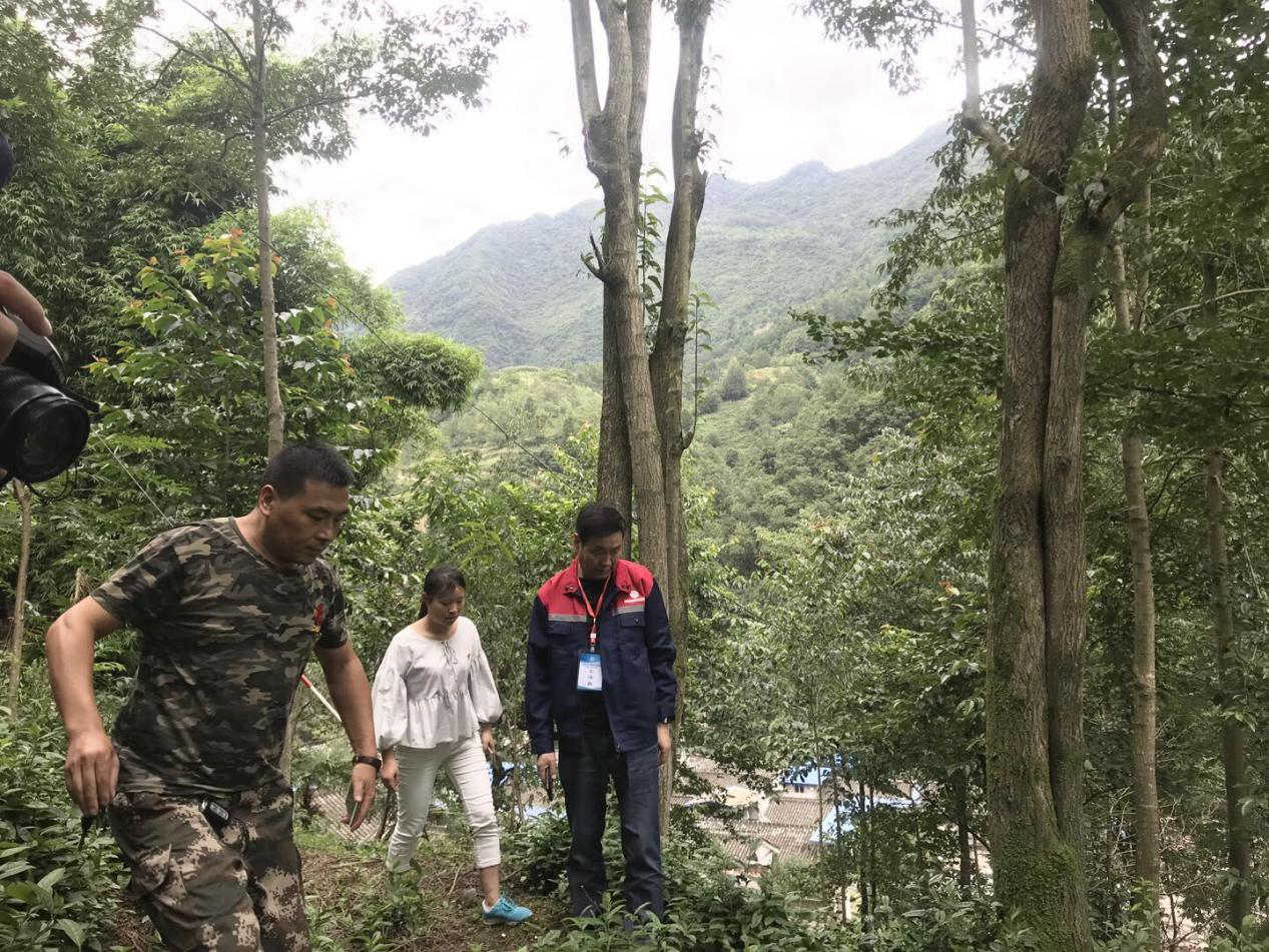 1597984074811060455.png 1597984074811060455.png