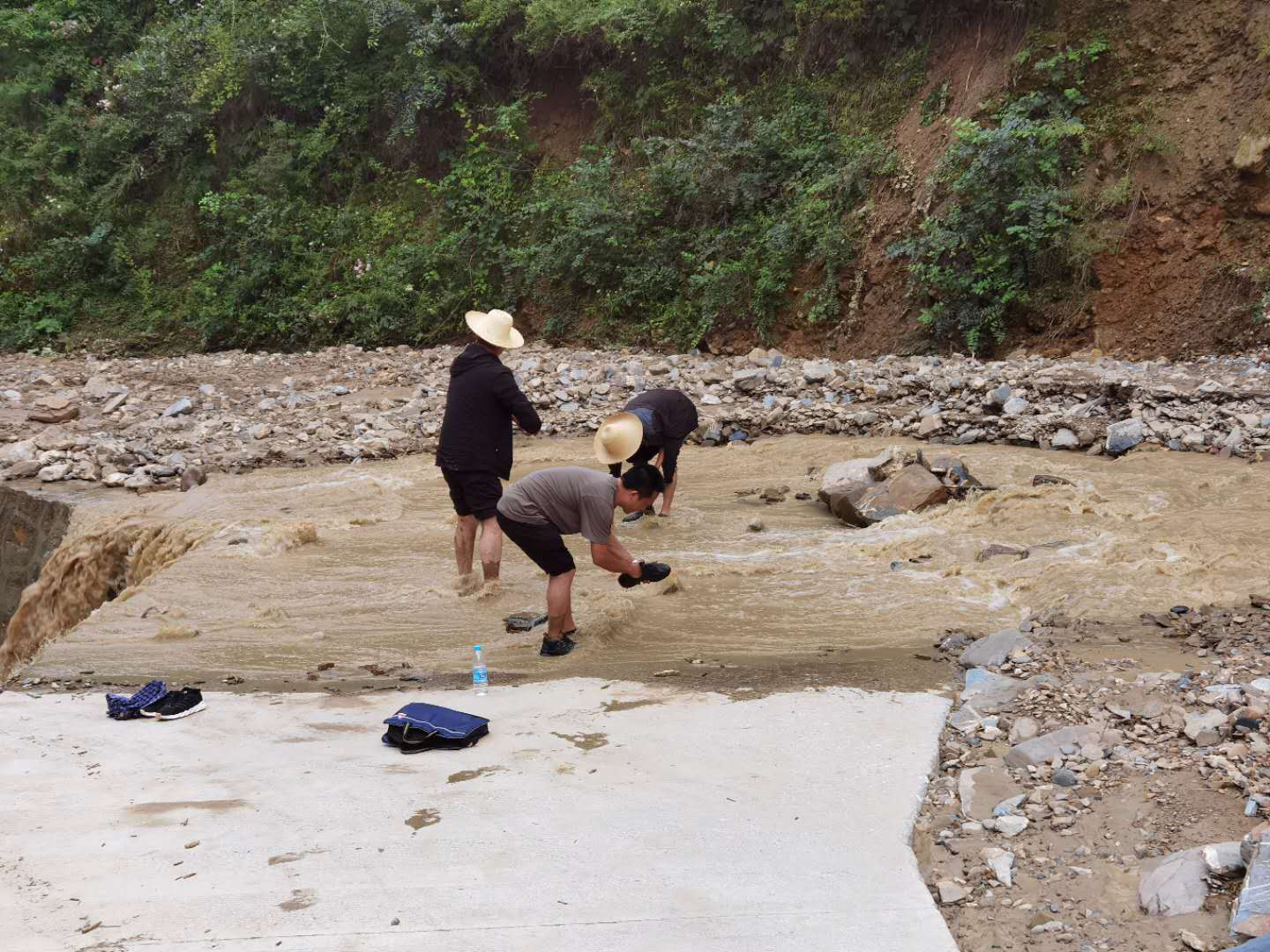 1597984075337024950.png 1597984075337024950.png