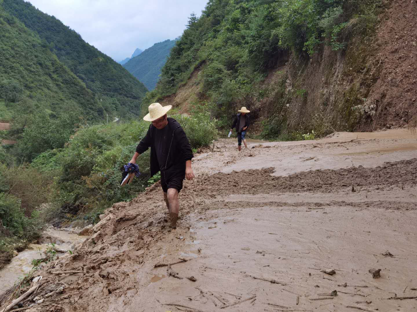 1597984189910048573.png 1597984189910048573.png