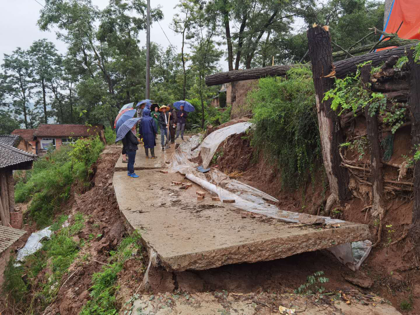 1597984192142027317.png 1597984192142027317.png