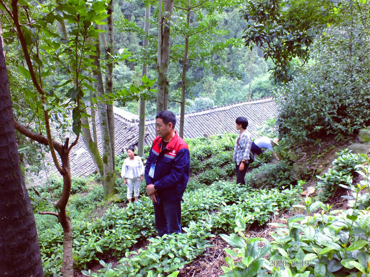 1598349933178060057.jpg 1598349933178060057.jpg