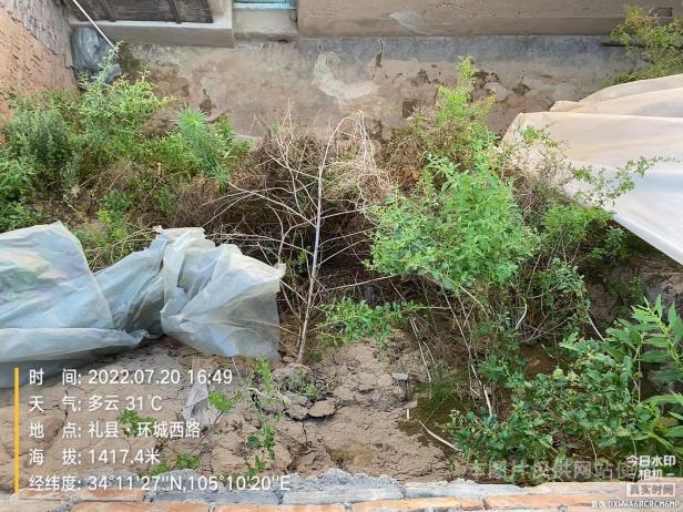 1658744122363054569.png 图片3.png