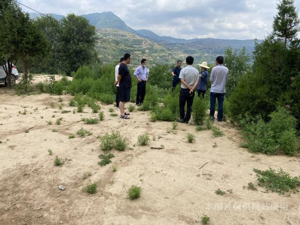 1658744156373090221.png 图片4.png