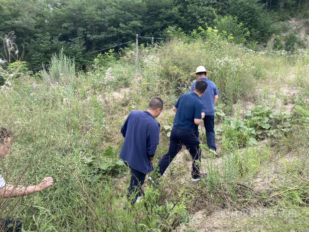 1658744182780063847.png 图片5.png