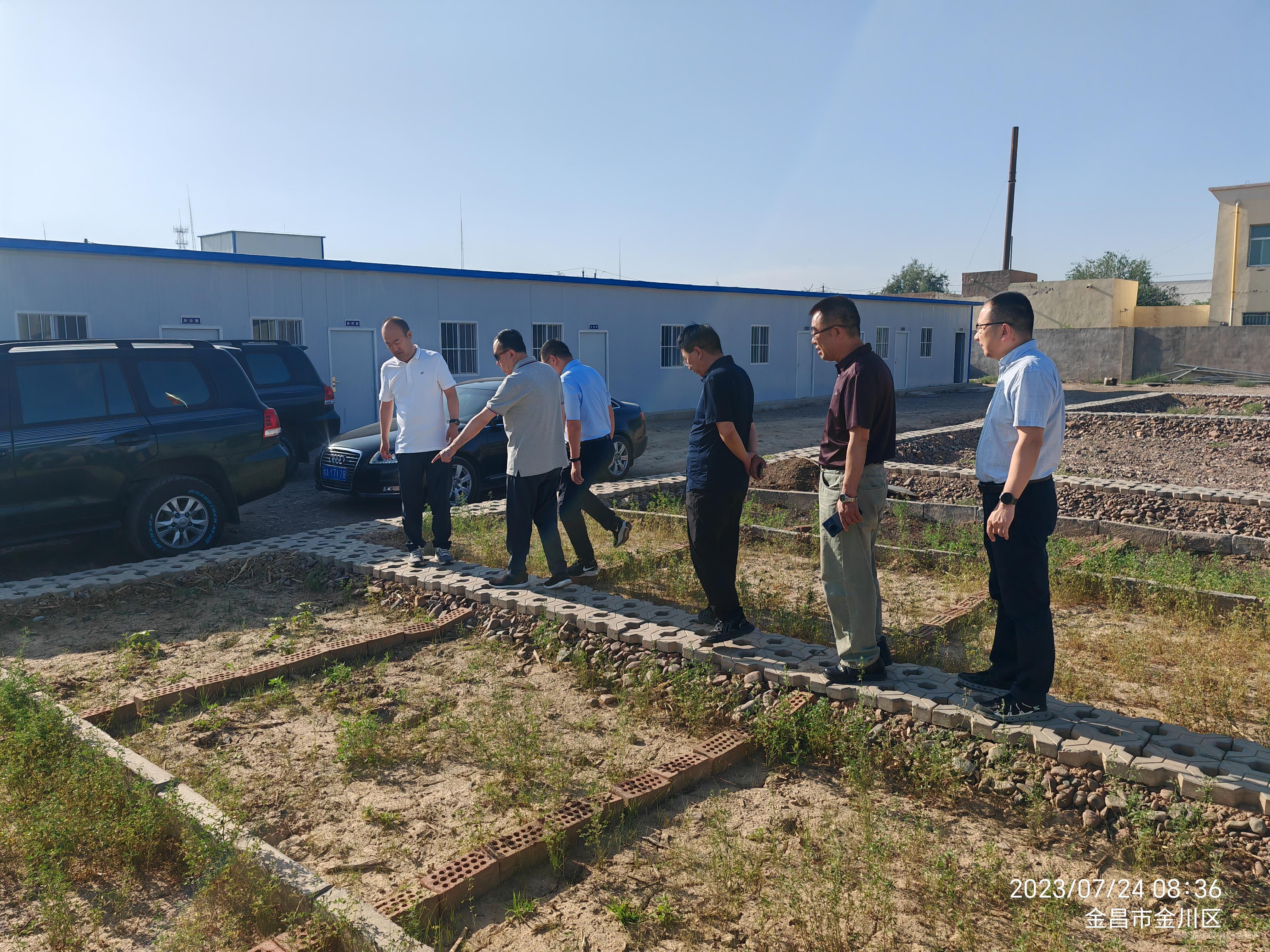 1690337007644030070.jpg 1690337007644030070.jpg