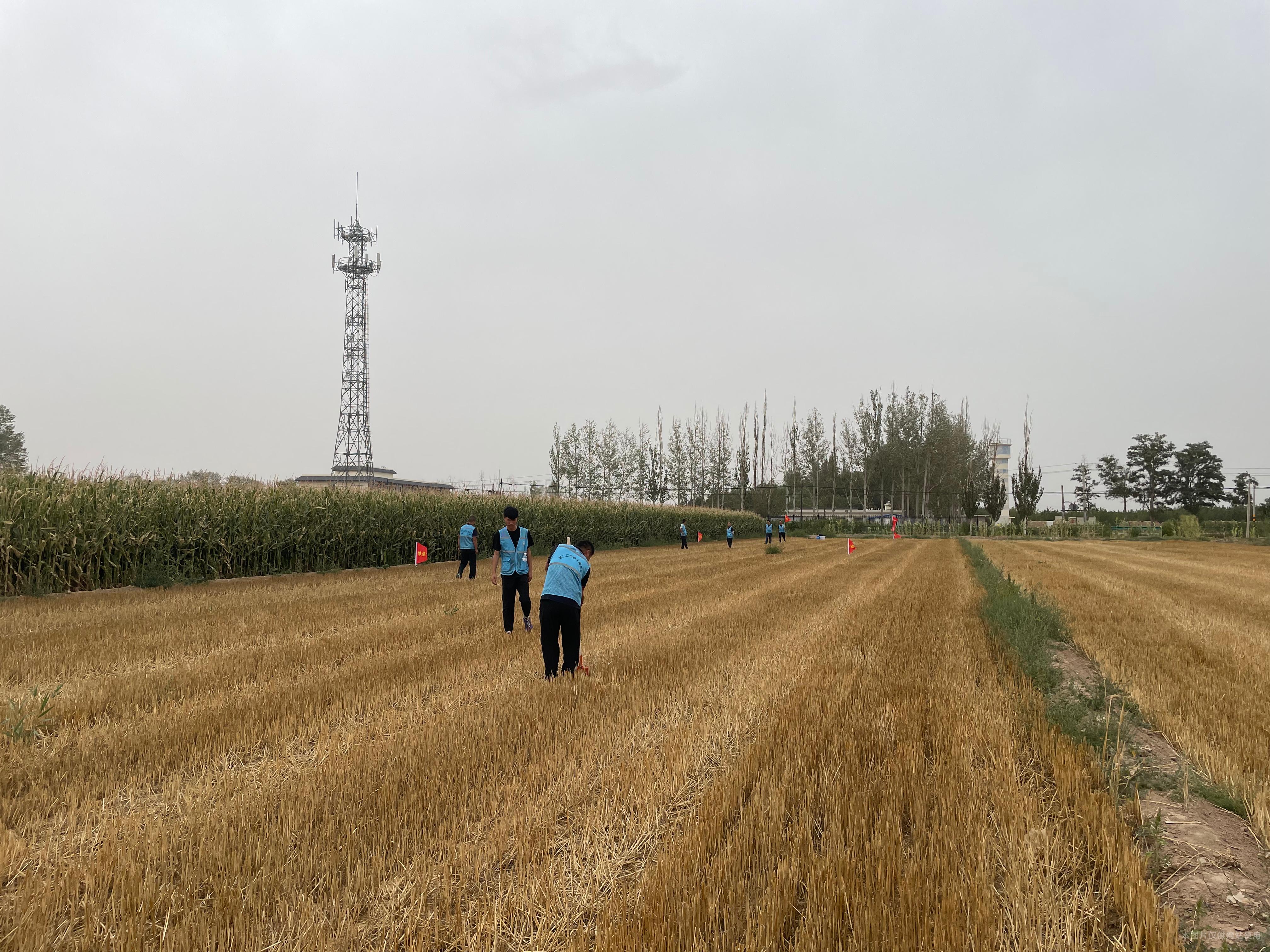 1693813687920068610.jpg 1693813687920068610.jpg