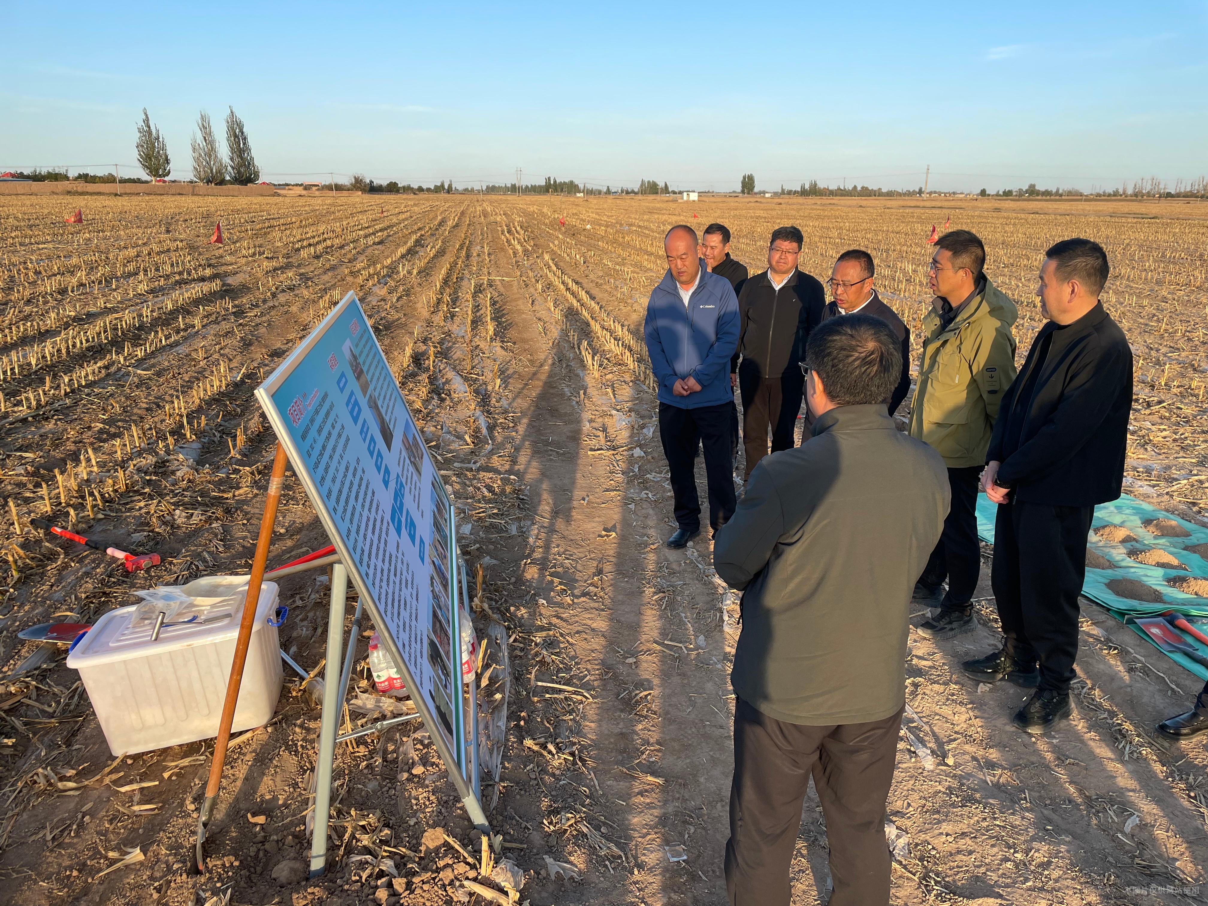 1697790341873017674.jpg 1697790341873017674.jpg