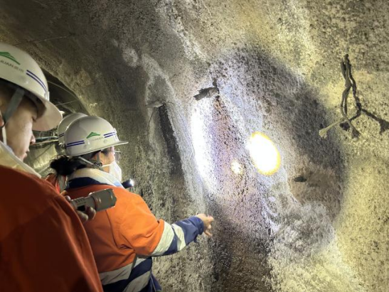 1732062855384034778.png 1732062855384034778.png