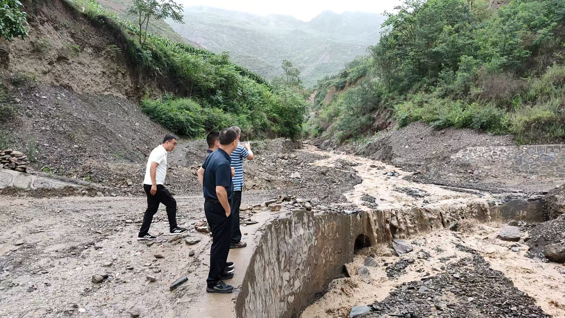 1751777978063086715.jpg 1751777978063086715.jpg