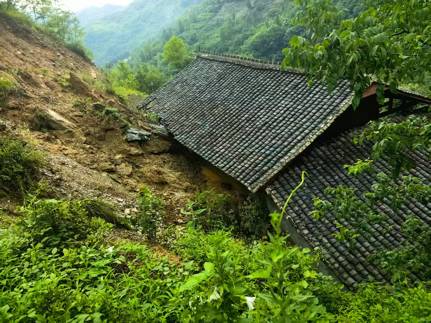 1751778377320042724.jpg 1751778377320042724.jpg